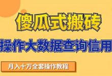 傻瓜式搬砖操作大数据查询信用副业项目赚钱教程,轻松月入6万+-泡泡爱学习