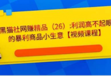 黑猫社网赚精品26:利润高不起眼的暴利商品小生意【视频课程】-泡泡爱学习