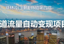 晓林冷门赚钱36招第4招,管道流量自动变现项目【视频课程】-泡泡爱学习