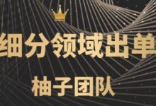 闲鱼细分领域暴力出单玩法,低成本轻松做到单号月入5000+【视频教程】-泡泡爱学习