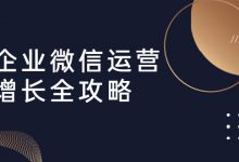 企业微信运营增长全攻略:引流+裂变+运营+成交(16节体系课)-泡泡爱学习