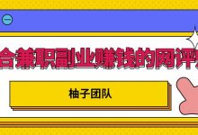 适合兼职副业赚钱的网评师,简单操作月入8000+【视频课程】-泡泡爱学习