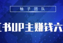 小红书UP主赚钱六部曲,掌握方法新手也能月入5000+【视频课程】-泡泡爱学习