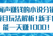 闷声赚钱的小说分销项目玩法解析!新手也能一天赚1000!【视频教程】-泡泡爱学习