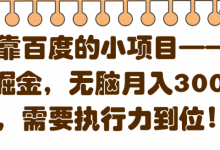 依靠百度的小项目——百度掘金,无脑月入3000+,需要执行力到位!【视频教程】-泡泡爱学习