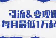 引流变现课:分享一整套流量方法以及各个渠道收入,每月最低1万起!-泡泡爱学习