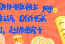 国外项目:paypal拉新,10分钟5美刀,赶快通宵干【视频课程】-泡泡爱学习