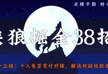 侠狼掘金38招第23招个人免签支付对接,解决网站收款难题【视频课程】-泡泡爱学习