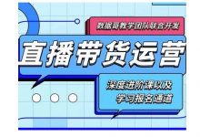 数据哥·新直播带货运营课(含电子资料):破冷启动、818算法破解、高效率带货等-泡泡爱学习