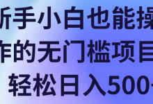 新手小白也能操作的无门槛项目,轻松日入500+【视频教程】-泡泡爱学习