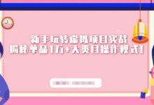 新手玩转虚拟项目实战,揭秘单品1万+大类目操作模式【视频课程】-泡泡爱学习