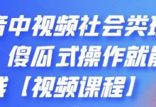 抖音中视频社会类玩法,傻瓜式操作就能赚钱【视频课程】-泡泡爱学习