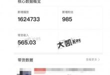 大凯进阶圈新玩法之拼多多视频玩法,利润大概一个号一天能有500~1500的左右!-泡泡爱学习