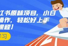 抖音小红书原味项目,小白都可以操作,轻松好上手【视频课程】-泡泡爱学习