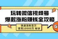 玩转微信视频号爆款涨粉赚钱全攻略,快速涨粉百万 变现万元 秘诀-泡泡爱学习