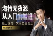 98k学院的淘特无货源线上速成课,从入门到精通,让你最小投入,最高回报-泡泡爱学习