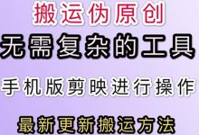 5月刚出来的最新:抖音+快手搬运技术,无需复杂工具,纯小白可操作-泡泡爱学习