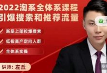 2022淘系全体系课程引爆搜索和推荐流量,新品上架拉爆搜索-泡泡爱学习