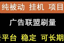 稳定挂机】oneptp出海广告联盟挂机项目,每天躺赚几十块钱,多台批量多赚些-泡泡爱学习