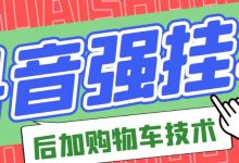 市面上割299的抖音后挂购物车技术(经过测试,非常好用)-泡泡爱学习