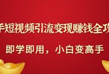 快手短视频引流变现赚钱全攻略:即学即用,小白变高手-泡泡爱学习