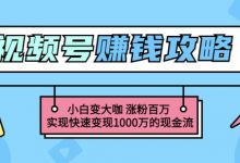 玩转微信视频号赚钱:小白变大咖涨粉百万实现快速变现-泡泡爱学习